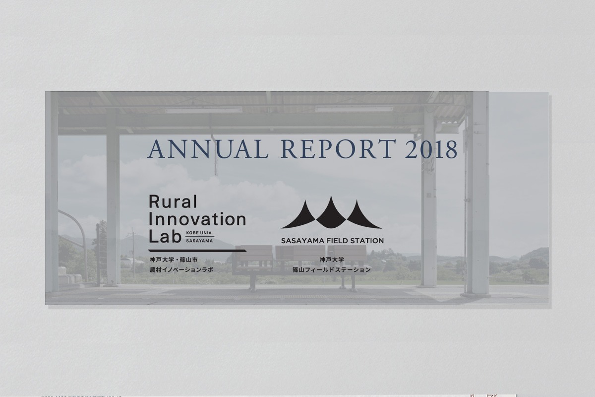 ANNUAL REPORT
