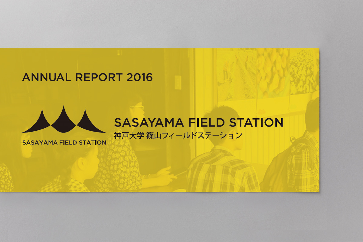 ANNUAL REPORT